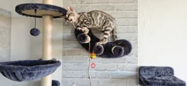 f68fcfdd-ffb8-43e1-851c-458ef52a9d42.webp
